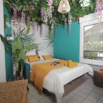Jungle Proche De La Gare * 格勒诺布尔
